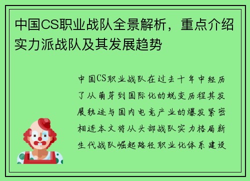 中国CS职业战队全景解析，重点介绍实力派战队及其发展趋势