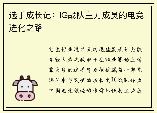 选手成长记：IG战队主力成员的电竞进化之路